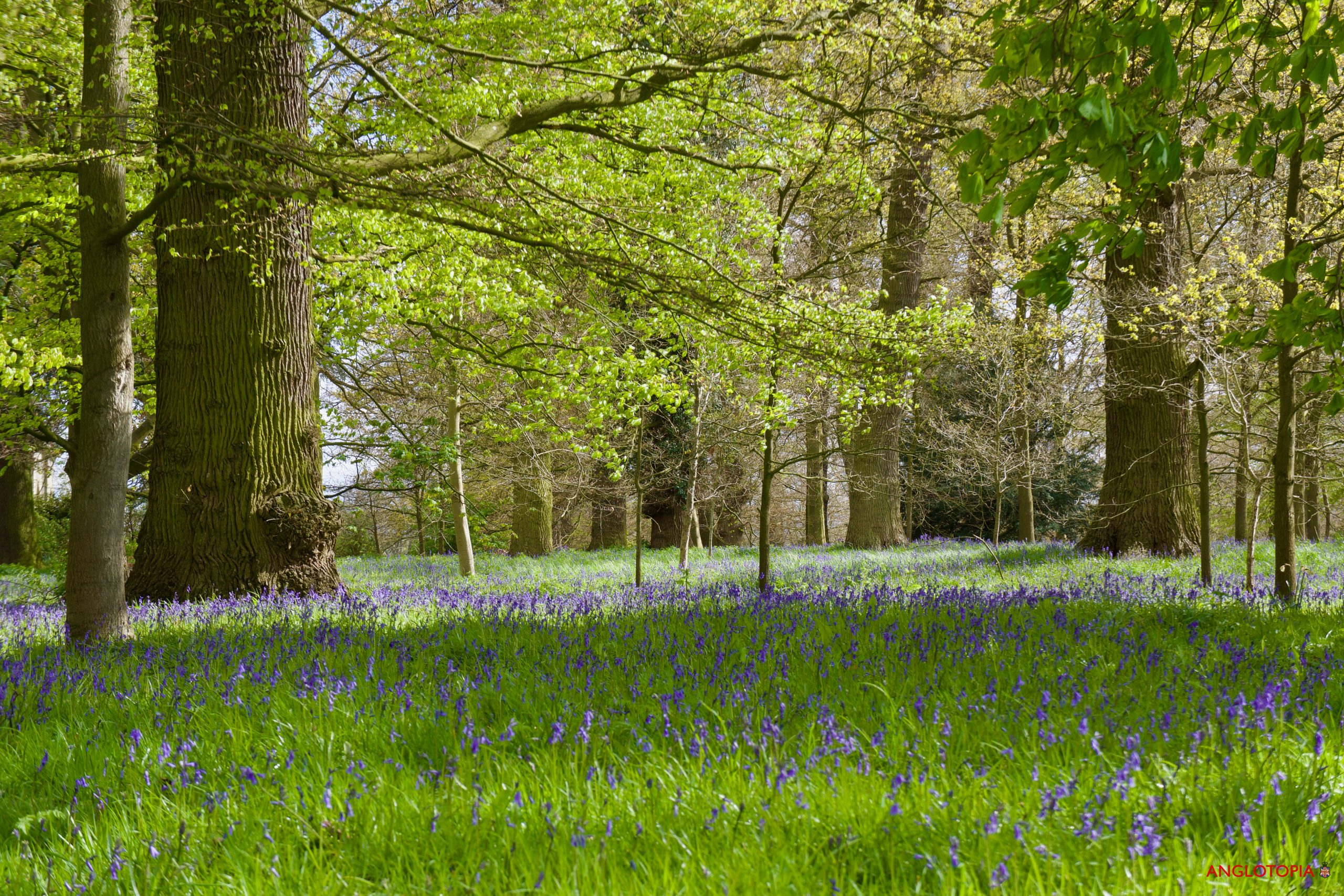 Delightful Pleasures and Beautiful Things For May